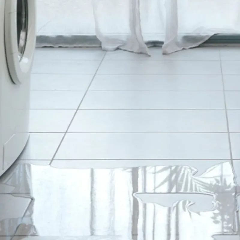 Appliance Leak Cleanup in Griffin, GA